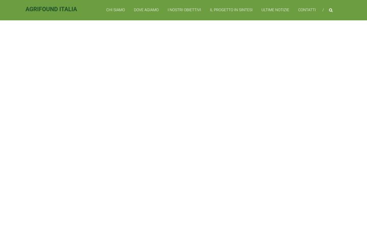 Screenshot of agrifound.org