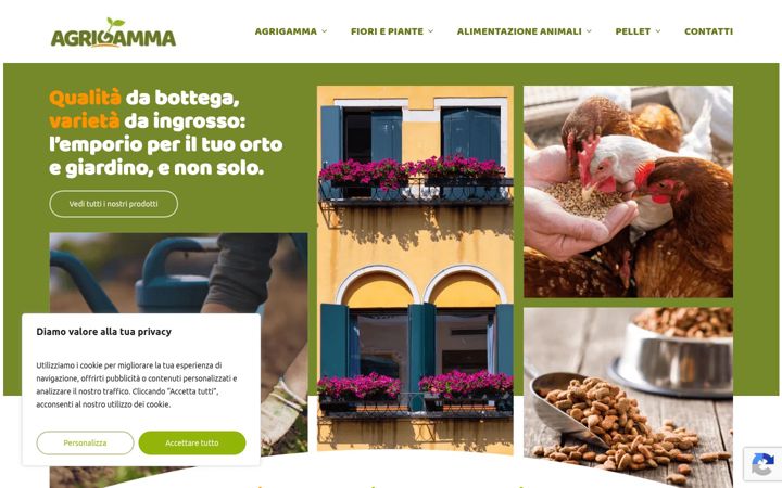 Screenshot of agrigamma.it