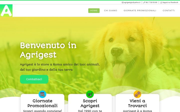 Screenshot of agrigestsrl.com