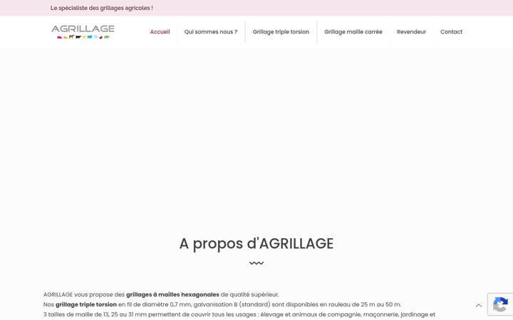 Ekraanipilt saidist agrillage.fr