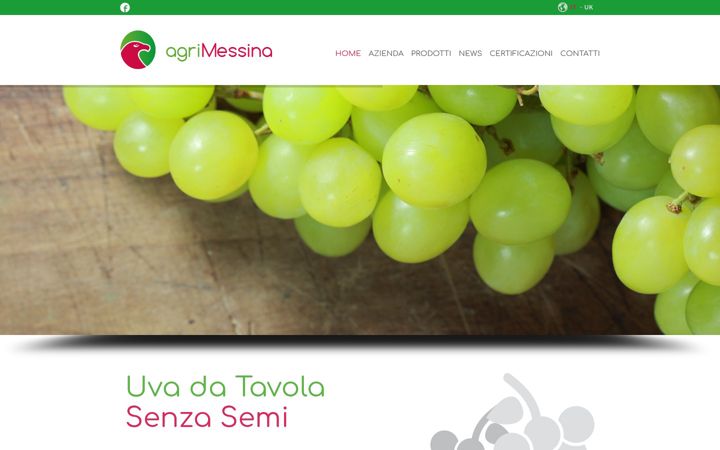 Screenshot von agrimessina.it