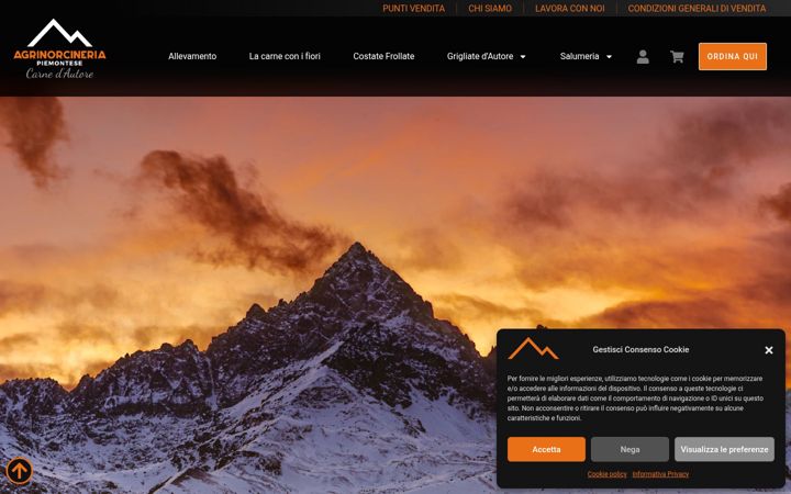 Screenshot of agrinorcineria.com