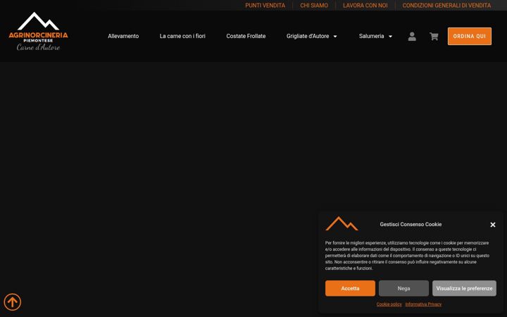 Screenshot of agrinorcineriapiemontese.it