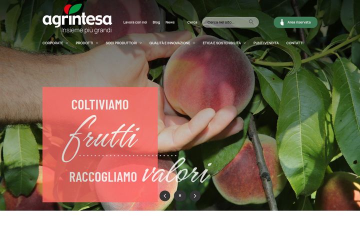 Screenshot von agrintesa.it