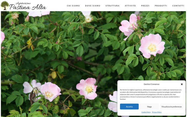Screenshot of agripastina.it