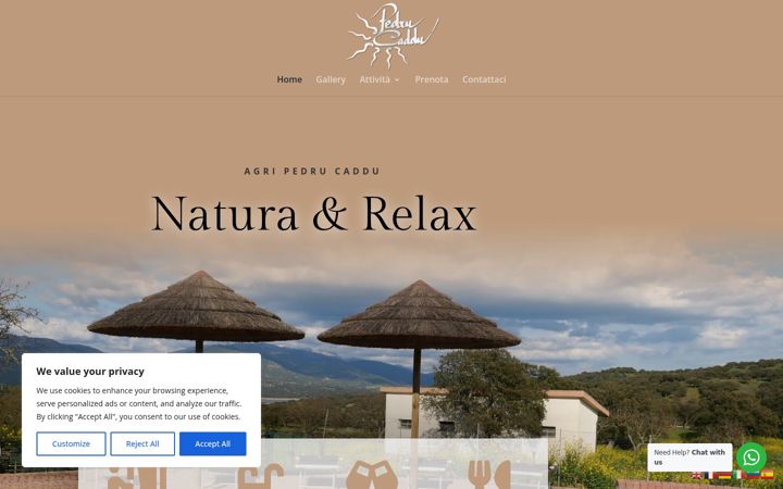 Screenshot of agripedrucaddu.com