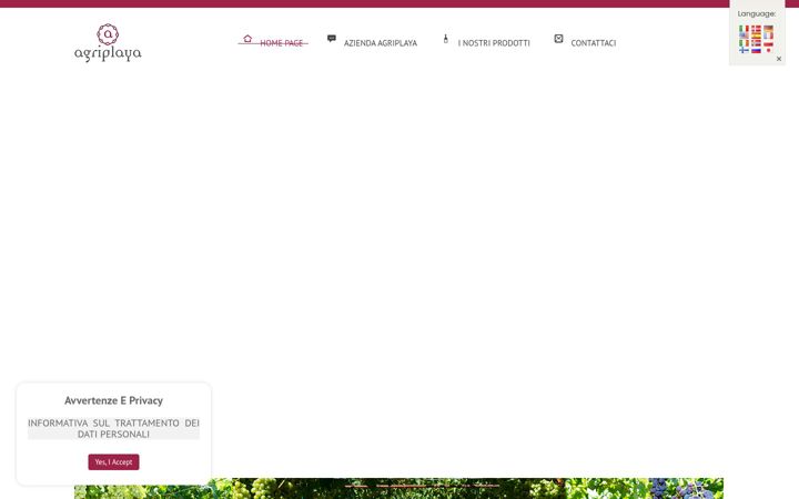 Skærmbillede af agriplaya.com