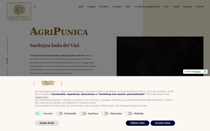 Screenshot of agripunica.com