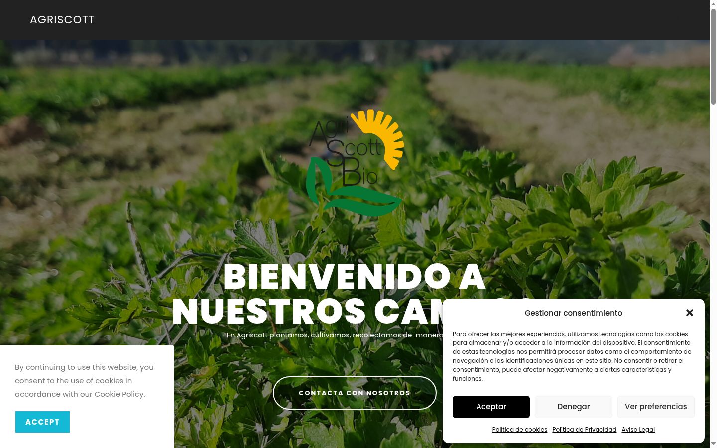 Screenshot del banner di consenso mostrato prima di qualsiasi interazione