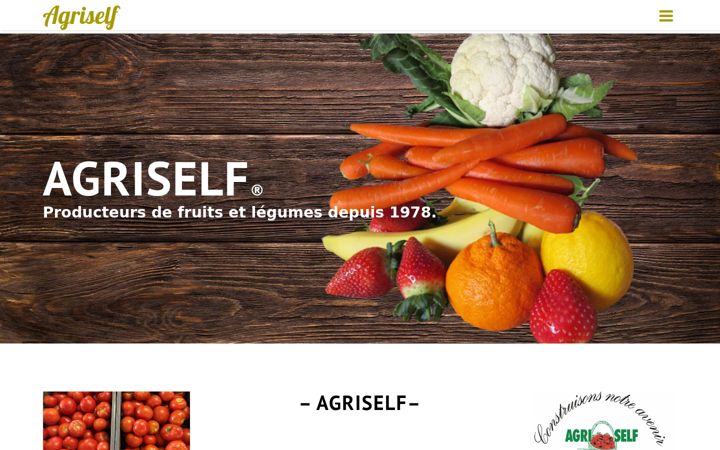 Screenshot of agriself.fr