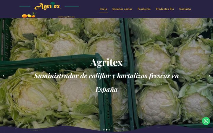 Screenshot of agritexsl.es