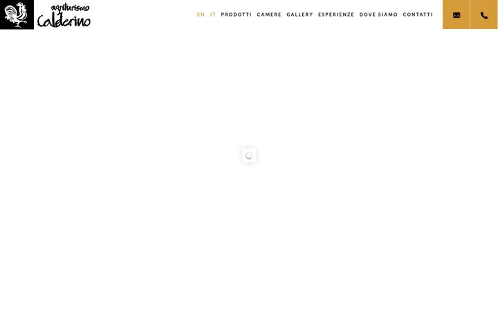 Screenshot of agriturismocalderino.it