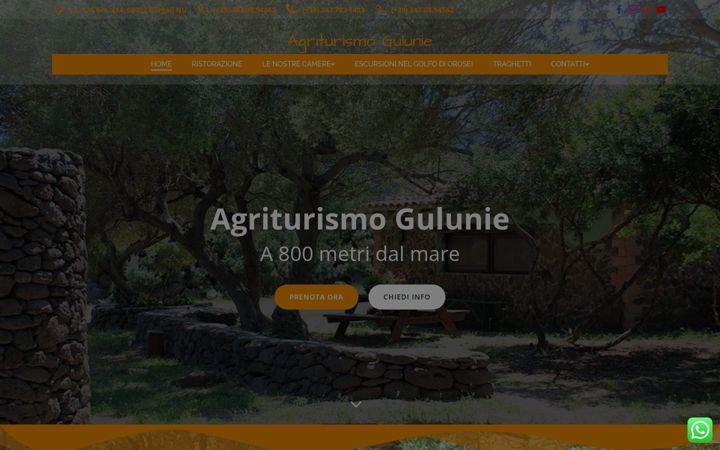 Screenshot of agriturismogulunie.com