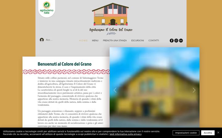 Screenshot von agriturismoilcoloredelgrano.eu