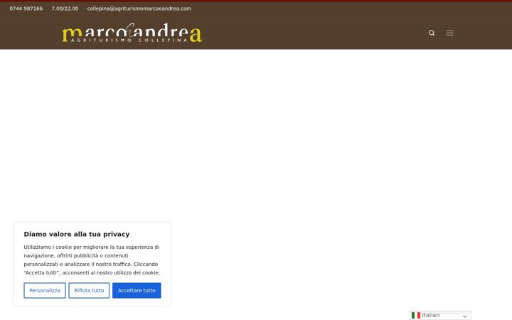 Screenshot of agriturismomarcoeandrea.com