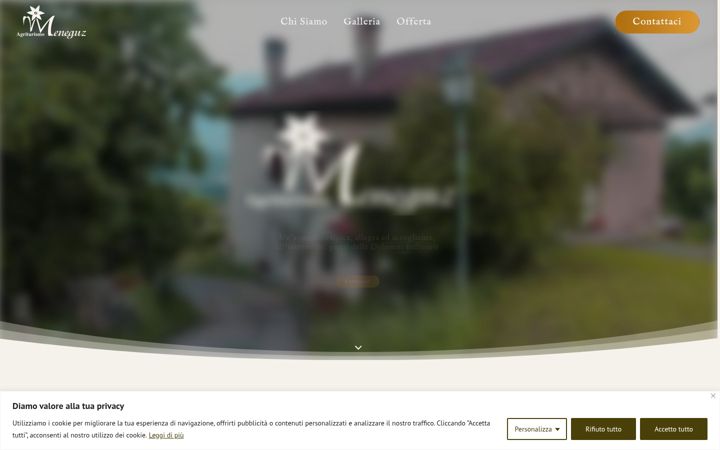 Screenshot of agriturismomeneguz.it