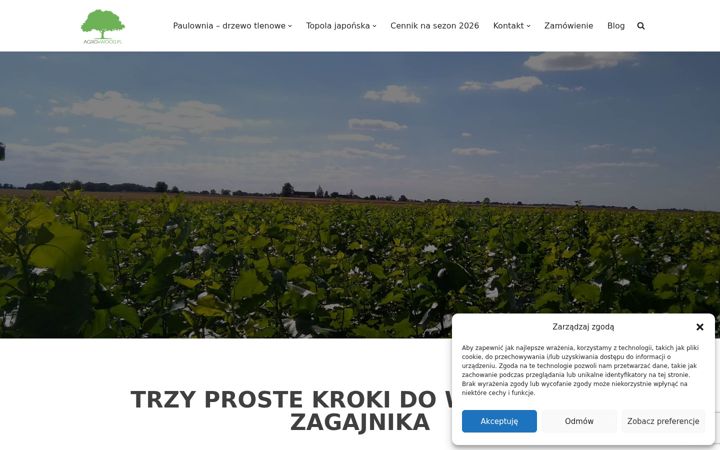 Screenshot of agro-wood.pl
