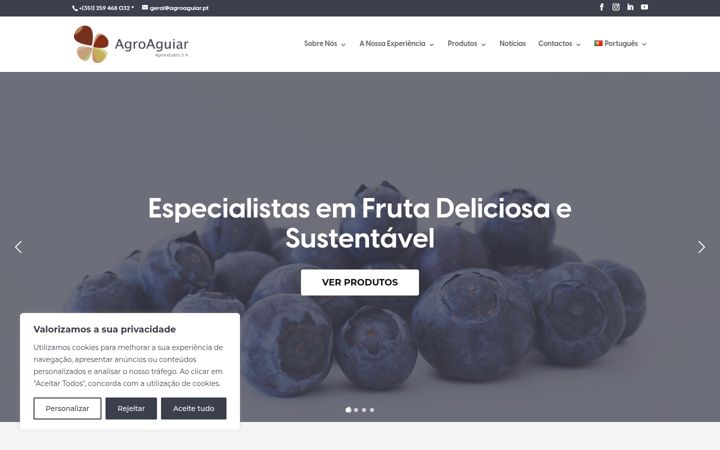 Screenshot of agroaguiar.pt