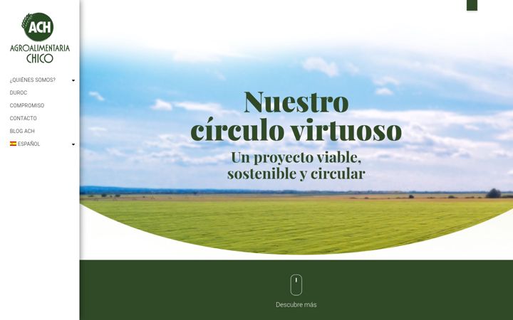 Screenshot stránky agroalimentariachico.com