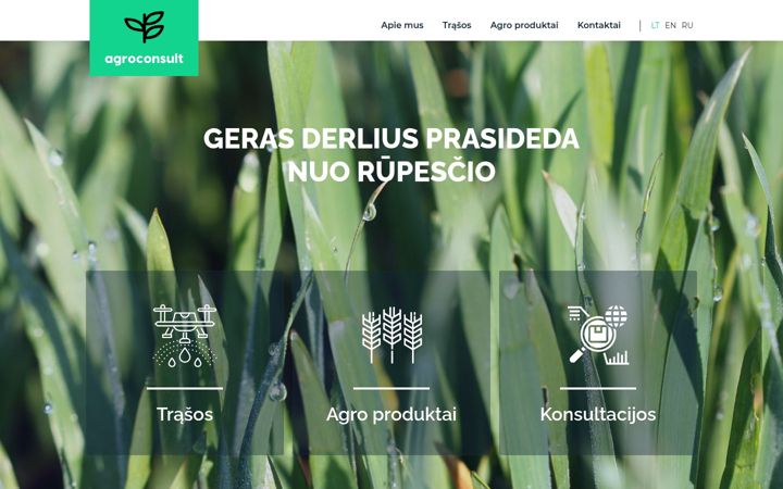 Screenshot of agroconsult.lt
