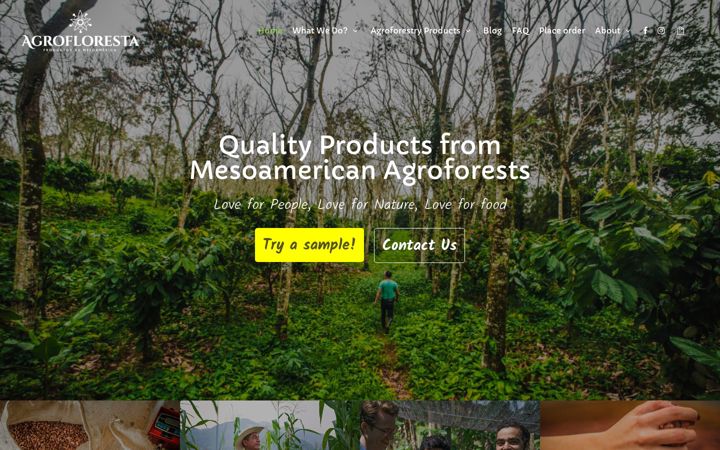 Ekrano kopija agroflorestamesoamericana.com