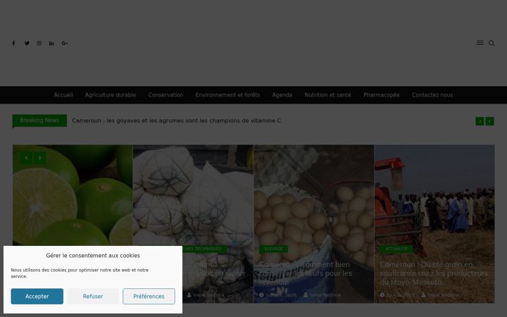 Screenshot of agroforet.net