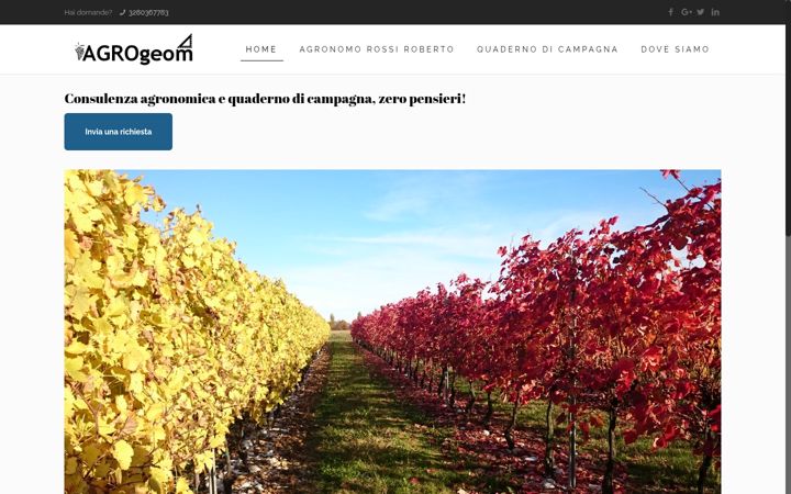 Zrzut ekranu agrogeom.it