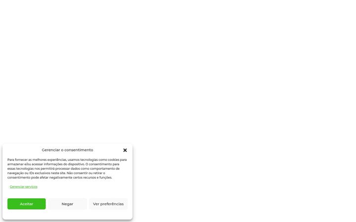 Kuvakaappaus sivustosta agroindustriasantarita.com.br