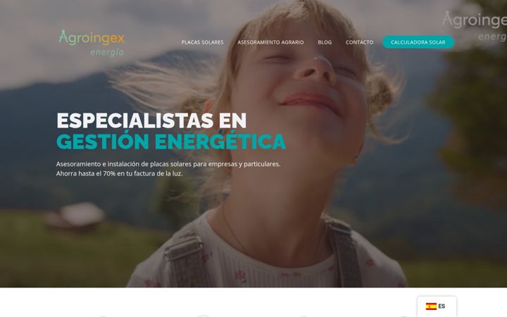 Screenshot of agroingex.es