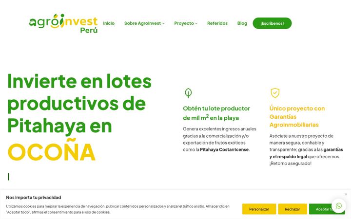 Screenshot of agroinvest.pe