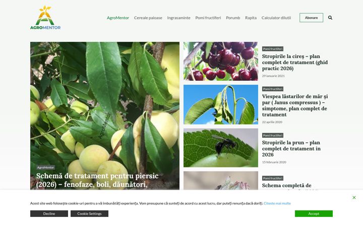 Screenshot of agromentor.ro