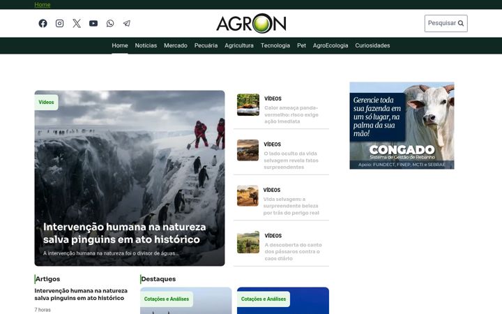 Zrzut ekranu agron.com.br