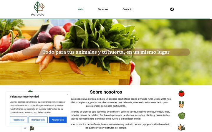 Screenshot of agroquimicoselorrio.com