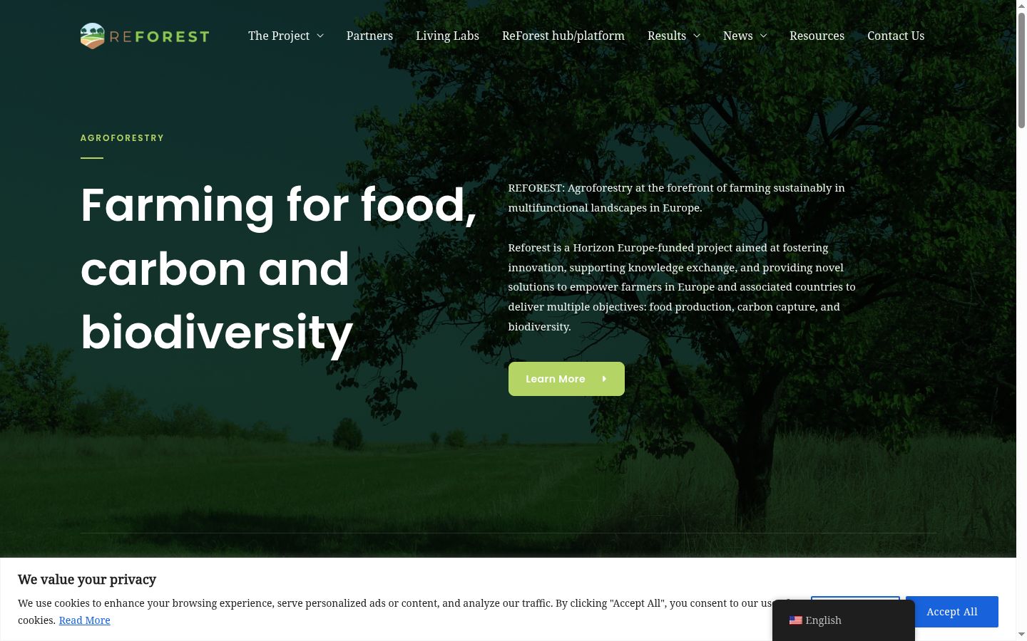 Screenshot of the consent banner shown before any interaction