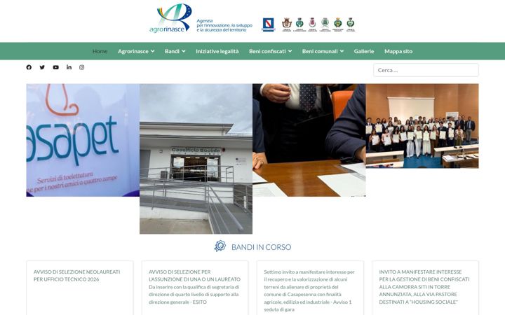 Zrzut ekranu agrorinasce.org