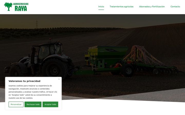 Screenshot of agroserviciosraya.com