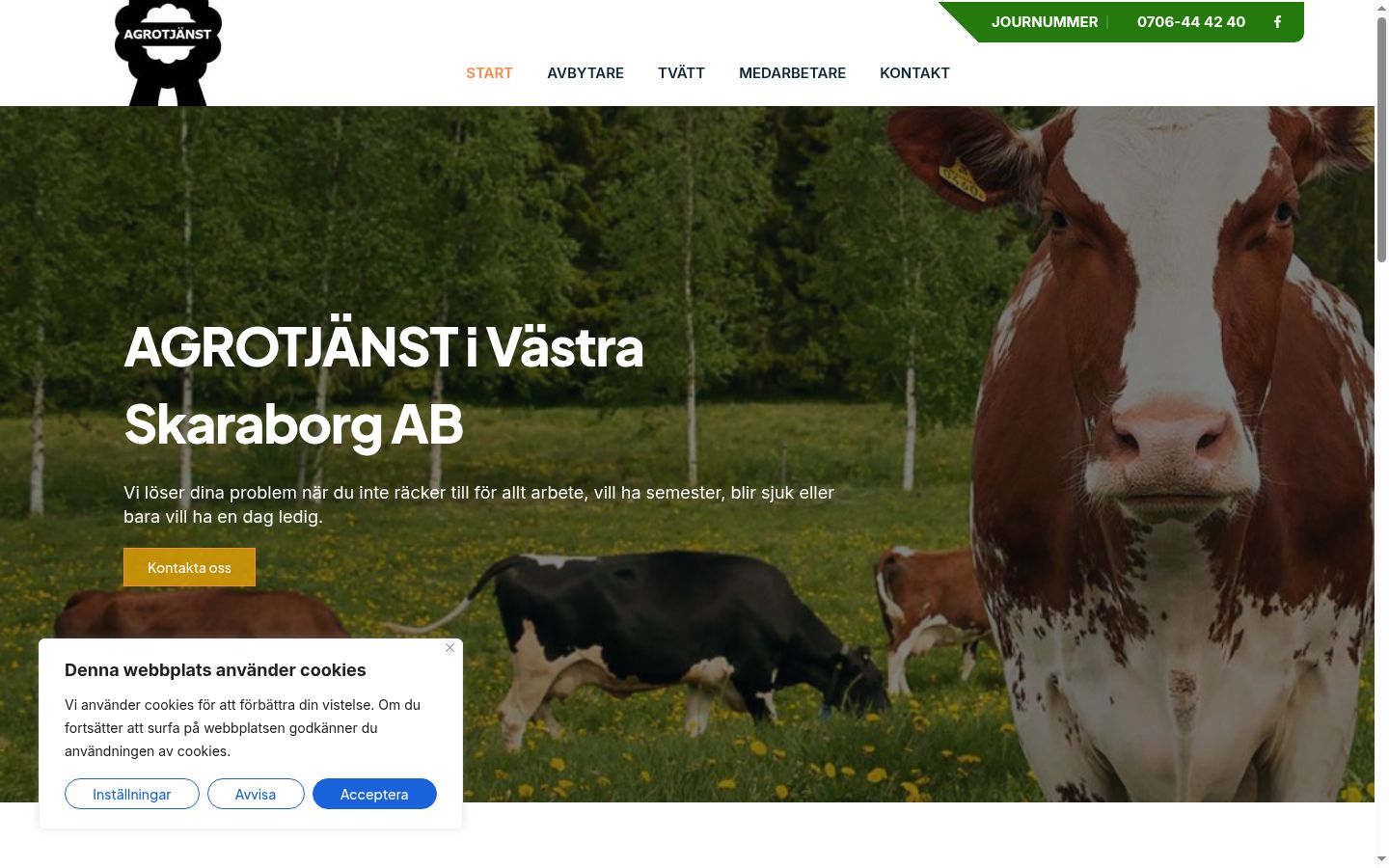 Skærmbillede af samtykkebanneret, som det blev vist før nogen interaktion