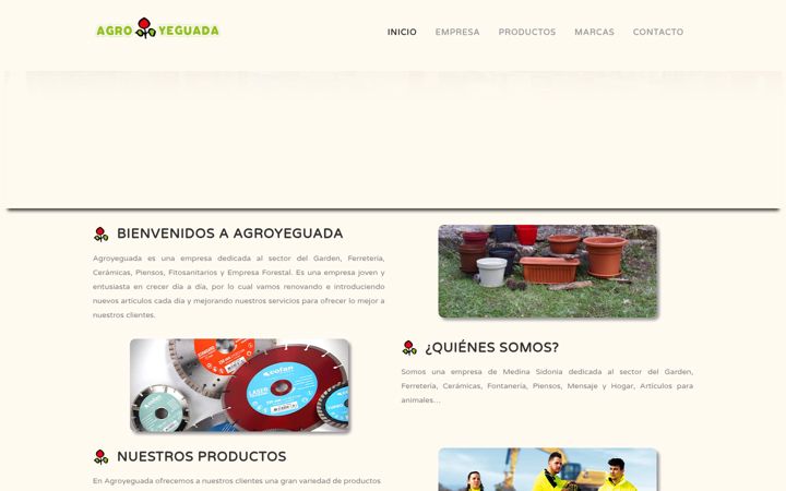 Screenshot of agroyeguada.es