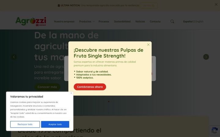 Screenshot of agrozzi.cl