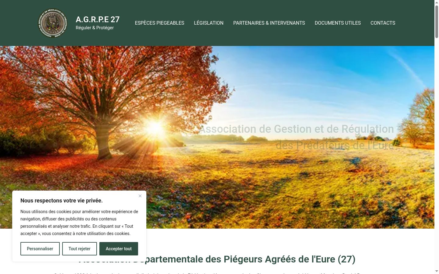 Screenshot of the consent banner shown before any interaction