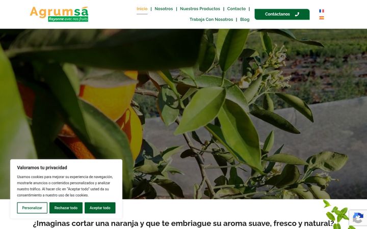 Screenshot of agrumsa.com