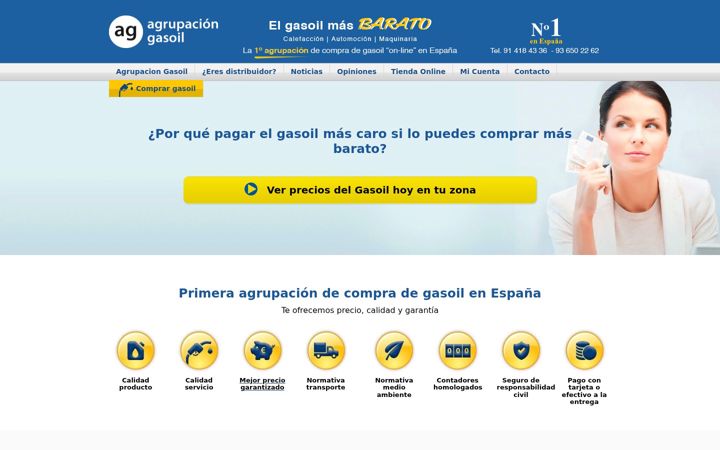 Screenshot of agrupaciongasoil.es