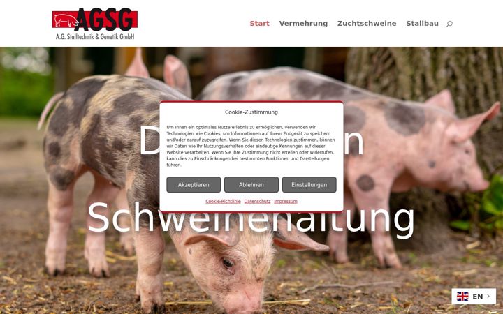 Screenshot of agsg-gmbh.de