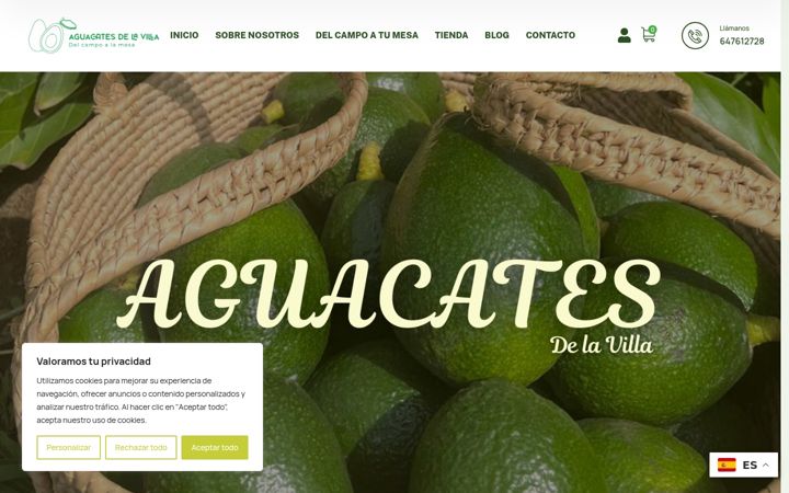 Screenshot of aguacatesdelavilla.es