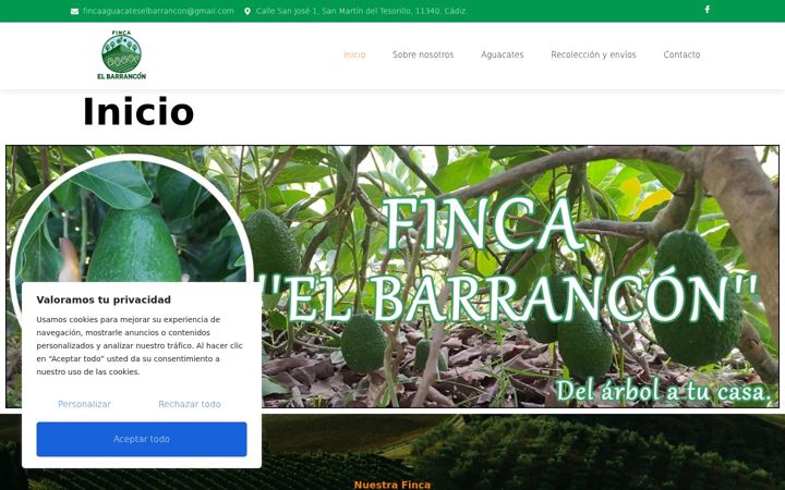 Screenshot of aguacatesnaturalesdeltesorillo.com