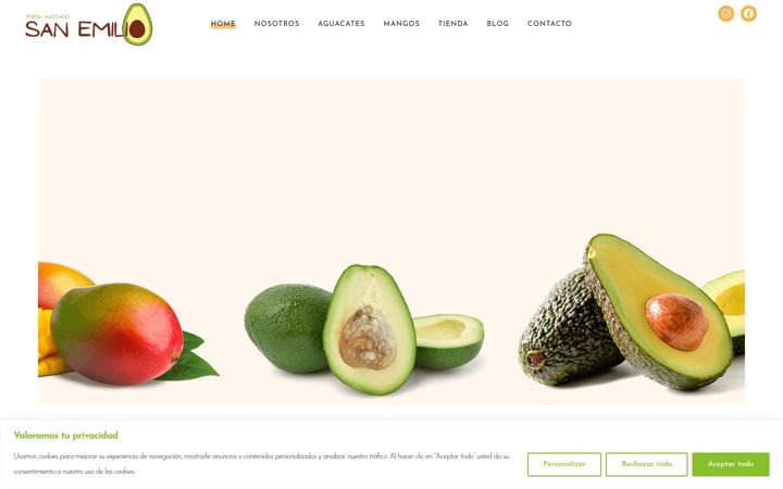 Screenshot van aguacatessanemilio.com