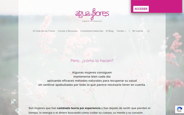 Screenshot van aguadeflores.com