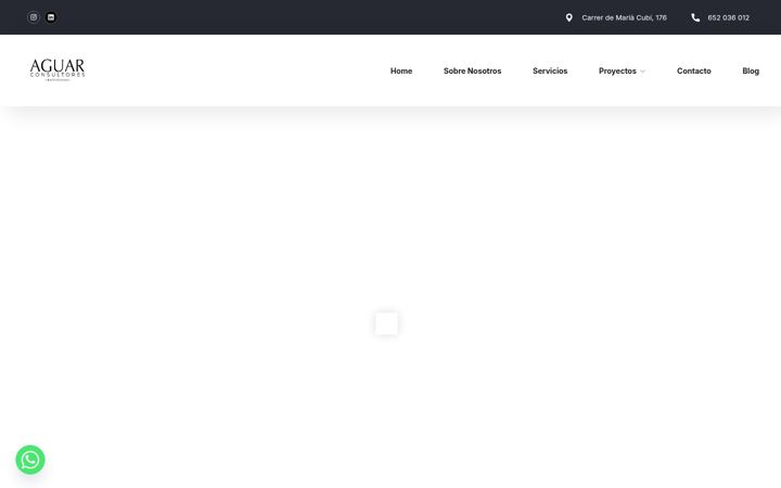 Screenshot van aguarconsultores.com