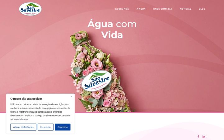 Screenshot of aguasaosilvestre.pt