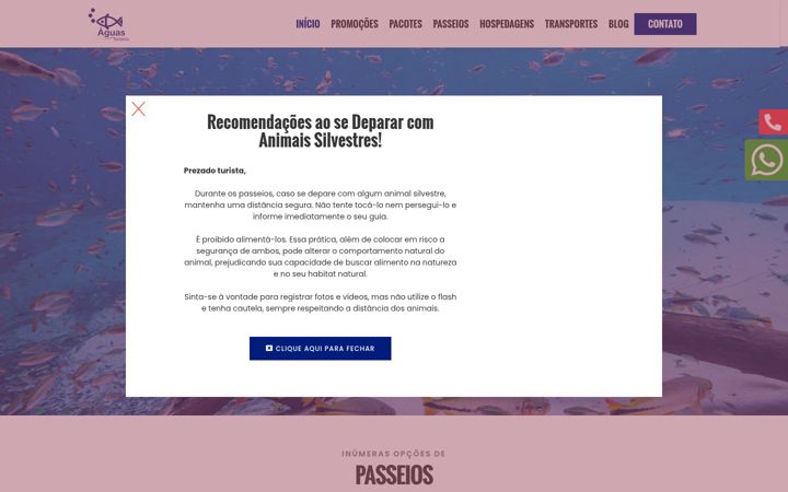Screenshot of aguasturismo.com.br